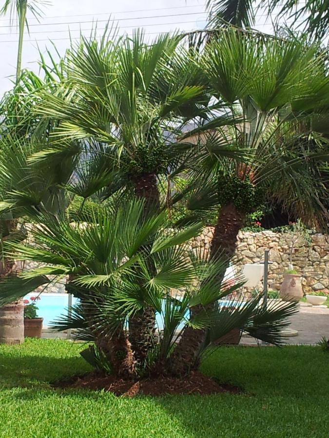 Villa Manzella Piscina Privata شينيسي المظهر الخارجي الصورة